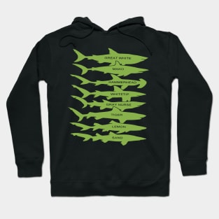 Shark Types Hoodie